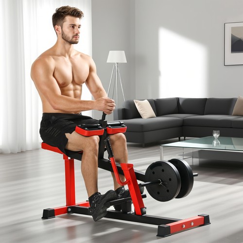 Training gym equipment - training,